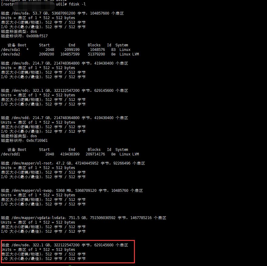 重新查看新挂载磁盘